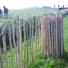 Schapenhekken